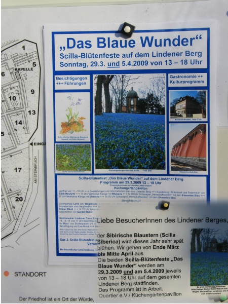 Fruehling 2009   026.jpg